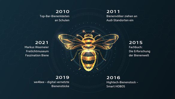 Mehr als ein Jahrzehnt – Die Erforschung der Bienenwelt