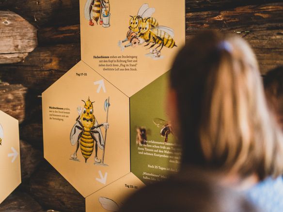 Markus Wasmeier Open-Air Museum – The Fascination of the Bee