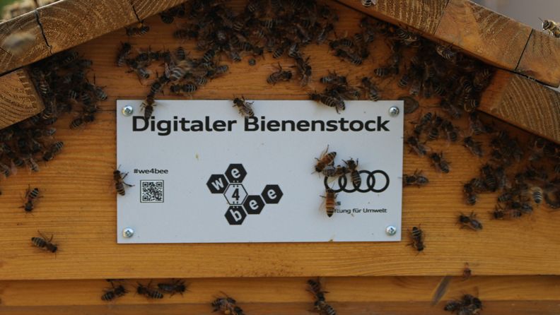we4bee – digital vernetze Bienenstöcke