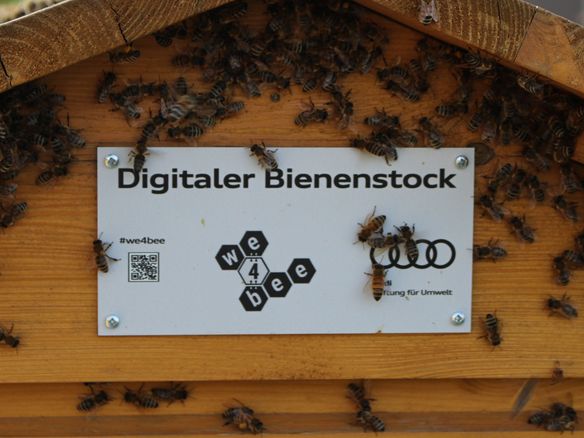 we4bee – digital vernetze Bienenstöcke