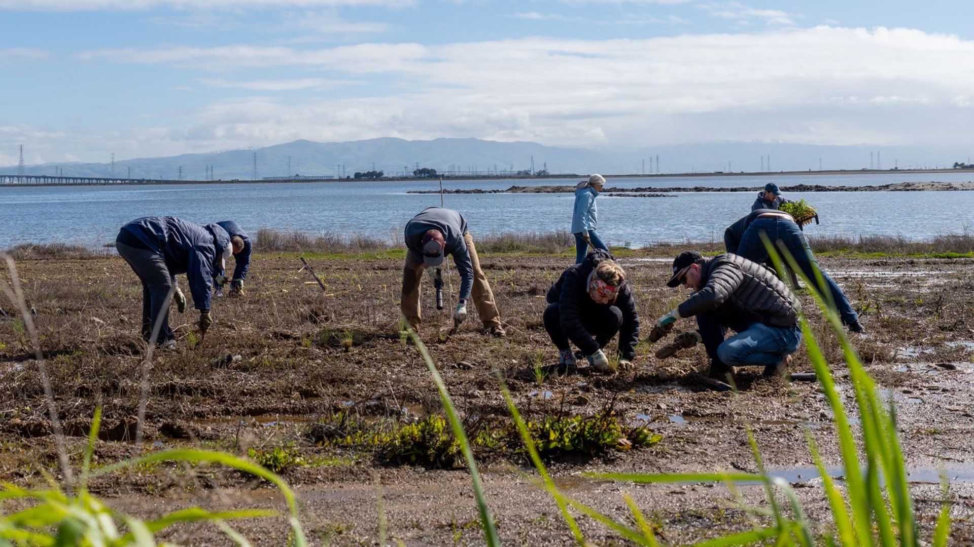 people work on field: restore our bays