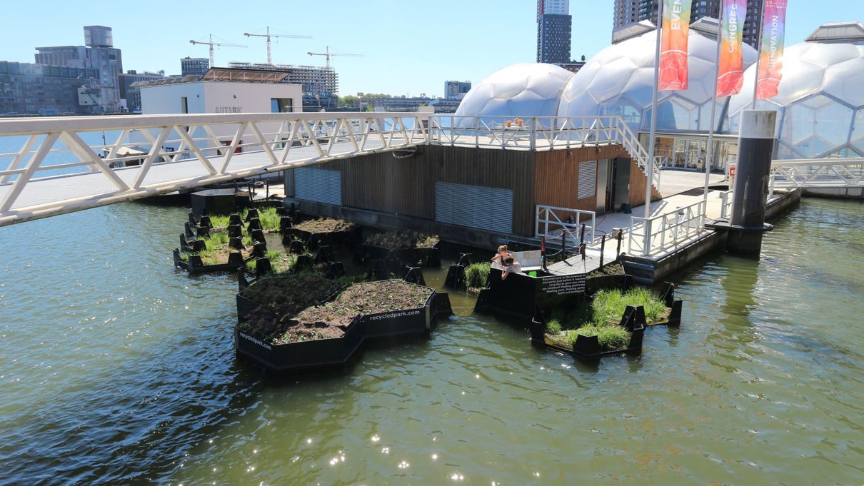 Der erste ‚Floating Park‘ wurde im Hafenbecken von Rotterdam eröffnet