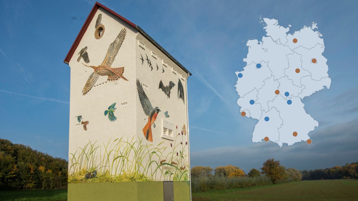 Bieten Lebensraum in ganz Deutschland: die Artenschutztürme (blau) und Wildbienenwände (orange).