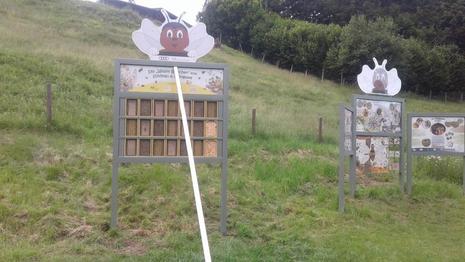 The freshly assembled wild bee wall with support pillars, on the right hand side the information boards