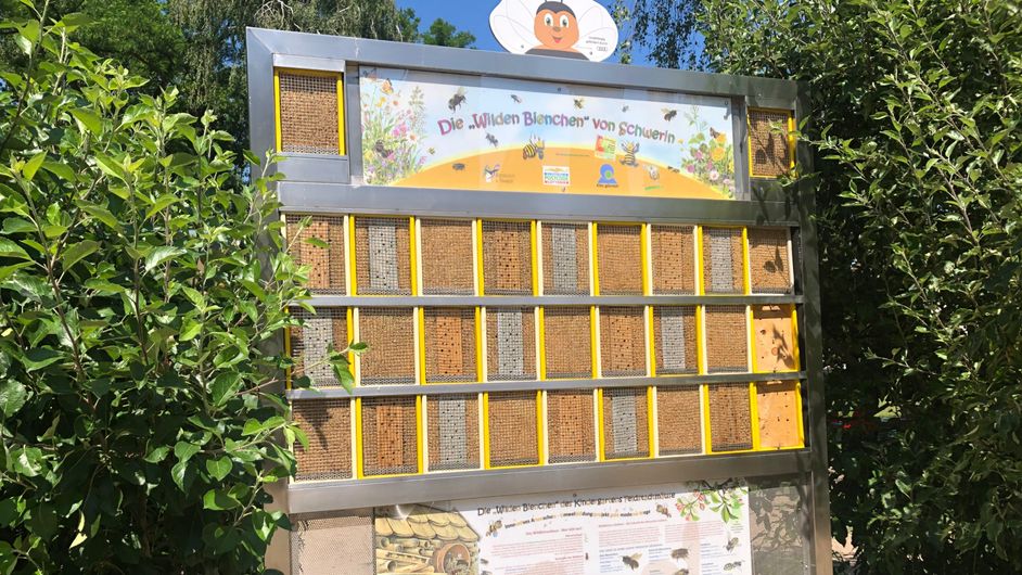 Photo of the wild bee wall in June 2020